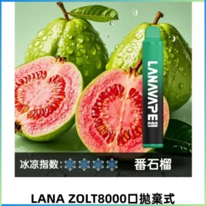 LANA ZOLT8000口拋棄式可充電一次性電子煙【霧化日用款】